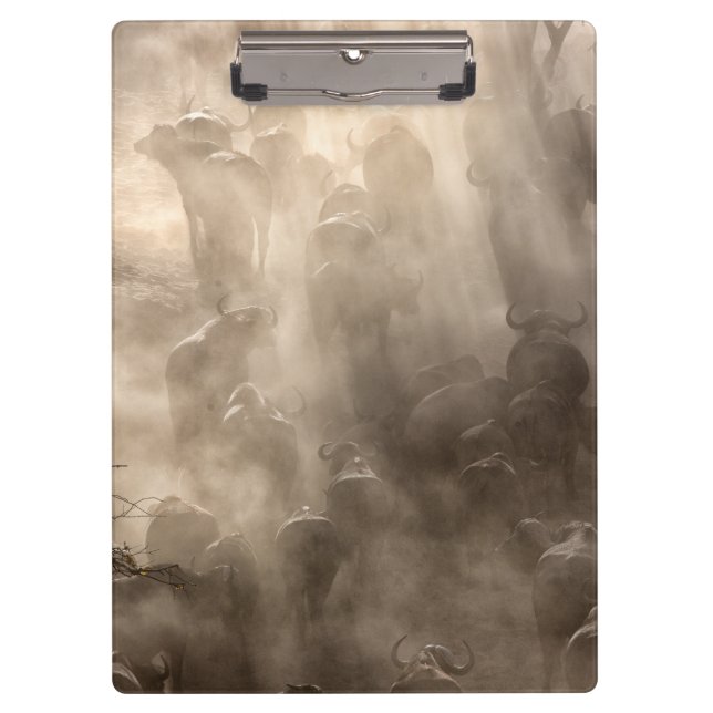 Porte-bloc Poussière de Buffalo (Devant)