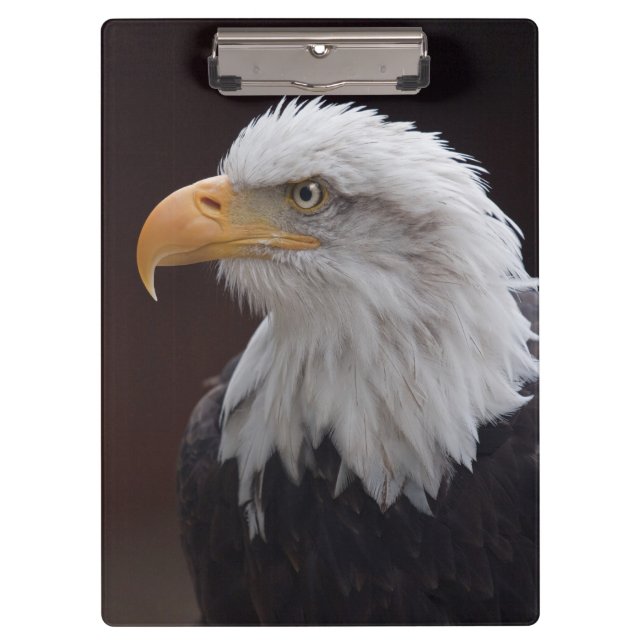 Porte-bloc Presse-papiers Aigle Fier (Devant)