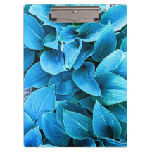 Presse-papiers de plante d'Hosta