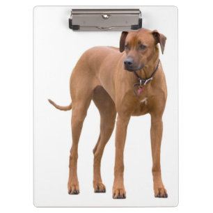 Porte-bloc Presse-papiers photo de Rhodesian Ridgeback / Chie