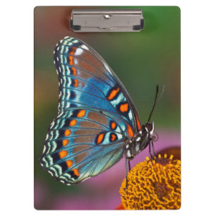 Porte-bloc Profil de papillon sur une fleur