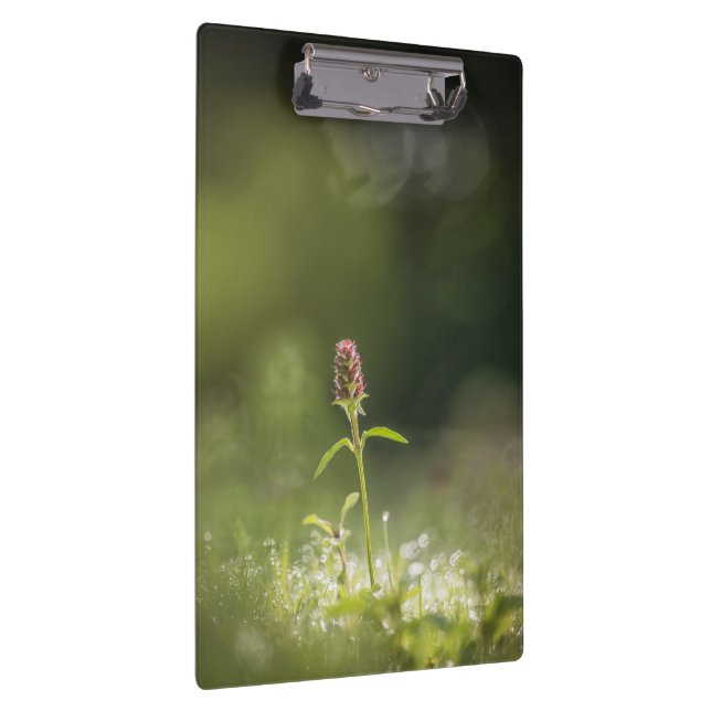 Porte-bloc Prunella Flower Nature Photo (Swatch)