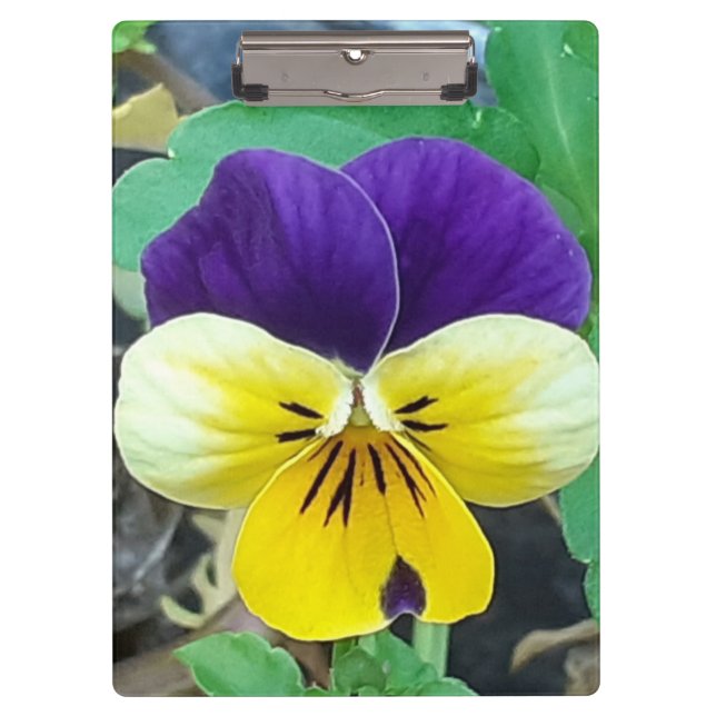 Porte-bloc Purple et Yellow Pany (Devant)