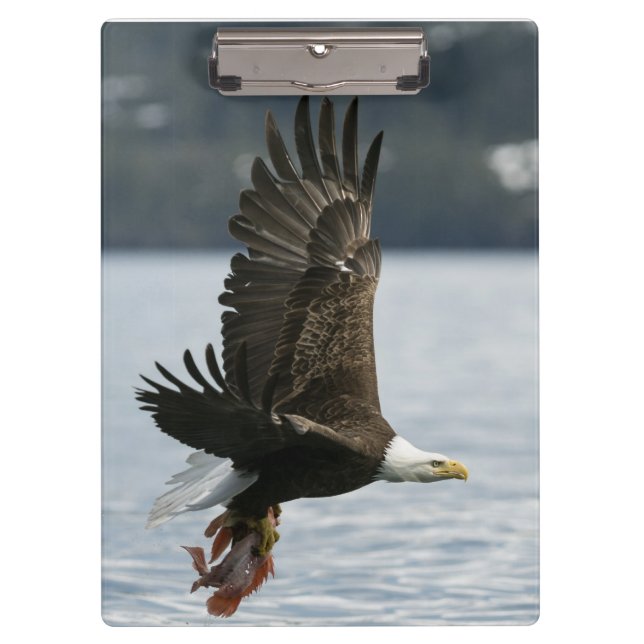 Porte-bloc Récupération du poisson d'aigle à tête blanche (Devant)