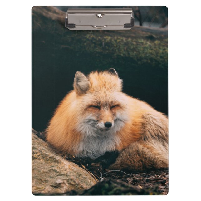 Porte-bloc Red Fox dormant (Devant)
