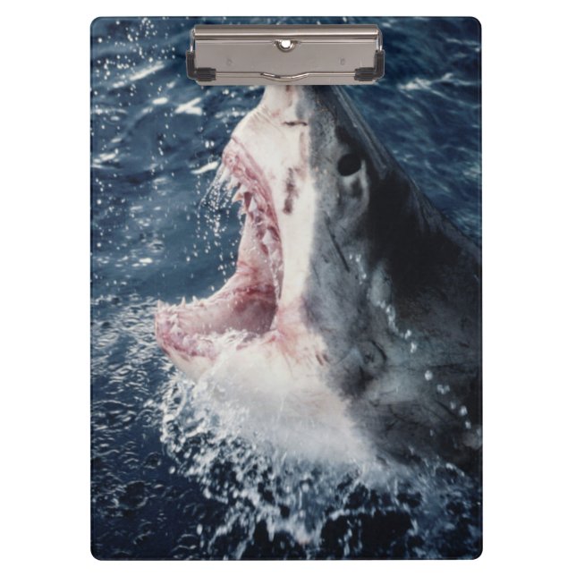 Porte-bloc Requin élevé bouche ouverte (Devant)