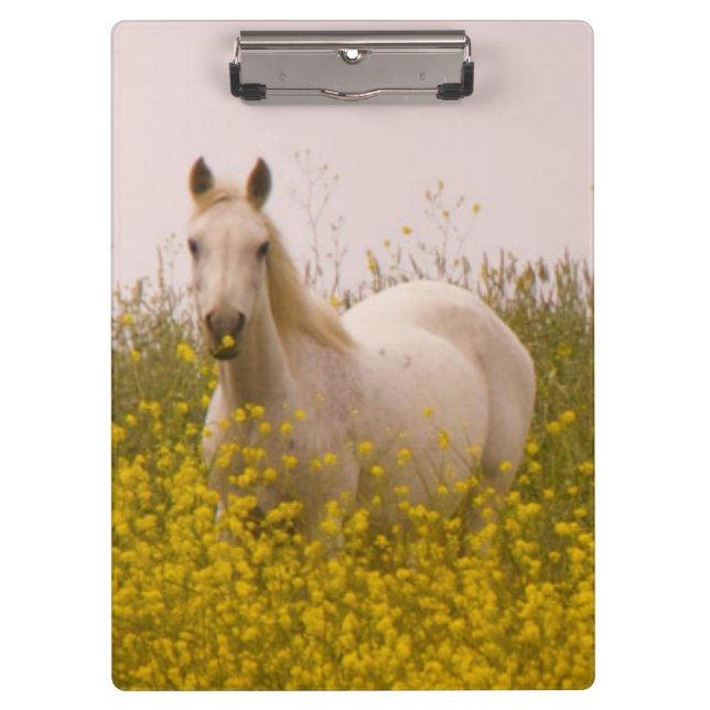 Porte-bloc Ressort (Devant)