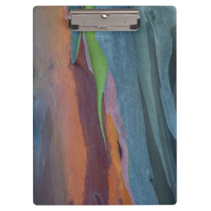 Porte-bloc Résumé d'arbre à gomme arc-en-ciel