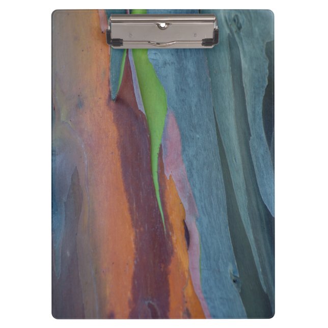 Porte-bloc Résumé d'arbre à gomme arc-en-ciel (Devant)