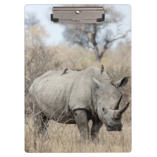 Porte-bloc Rhino blanc