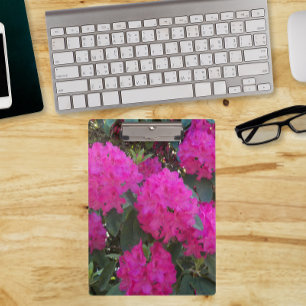 Porte-bloc Rhododendron rose fleurit