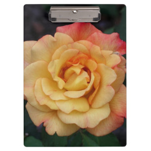 Porte-bloc Rose Beautiful Pink and Yellow Floral