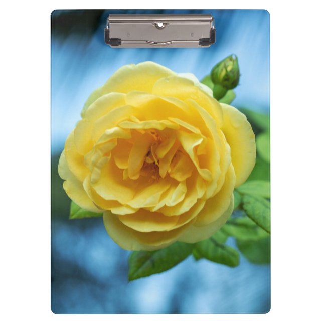 Porte-bloc Rose jaune (Devant)