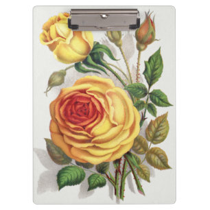 Porte-bloc Rose jaune et orange de coucher de soleil vintage,