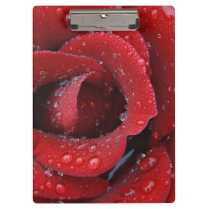 Porte-bloc Rose rouge couverte de rosée décorant un lieu de s