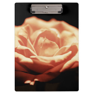 Porte-bloc rose vintage