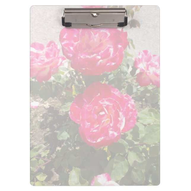 Porte-bloc Roses de jardin I (Devant)