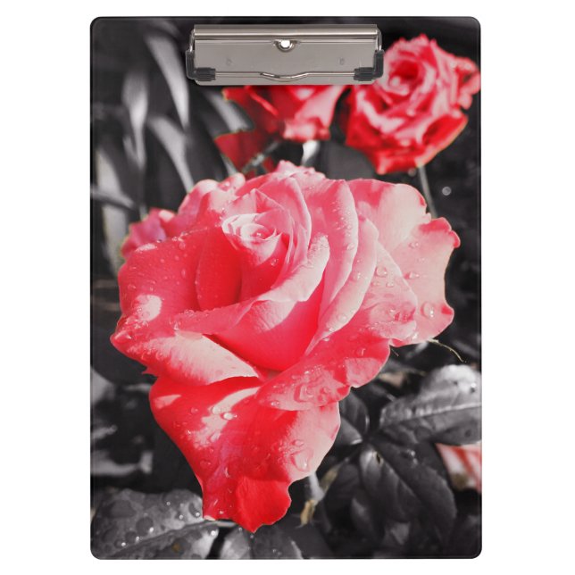Porte-bloc Roses rouges romantiques (Devant)