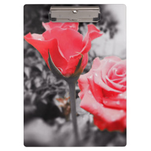 Porte-bloc Roses rouges vintages