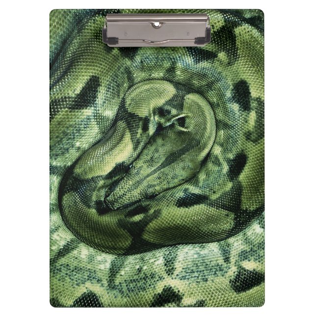 Porte-bloc Rosie Le Serpent Boa Imperator Sombre Vert (Devant)