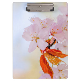 Porte-bloc Sakura - Fleur de cerisier japonaise