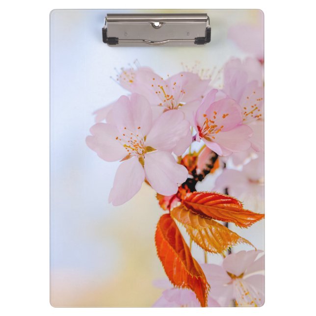Porte-bloc Sakura - Fleur de cerisier japonaise (Devant)