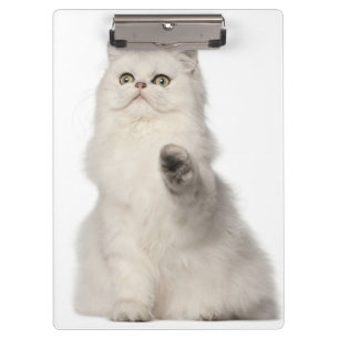 Porte-bloc Séance de chat persan