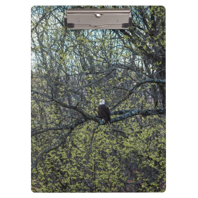 Porte-bloc Sensibilisation aux aigles (Devant)