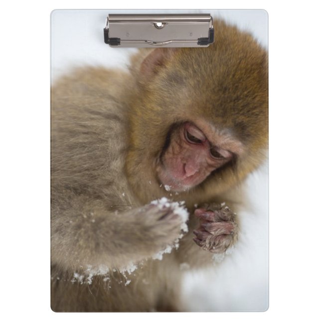 Porte-bloc Singe japonais de neige du Macaque | de bébé (Devant)