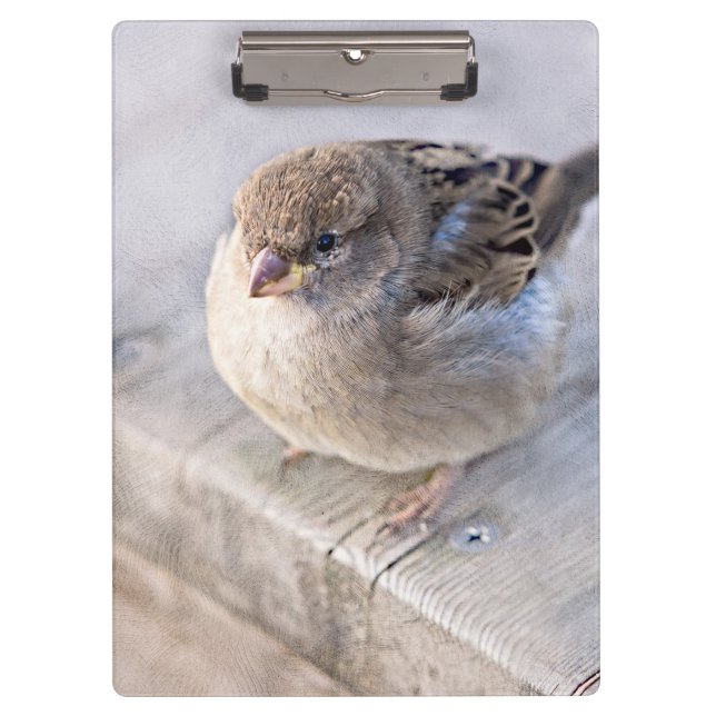 Porte-bloc Sparrow (Devant)