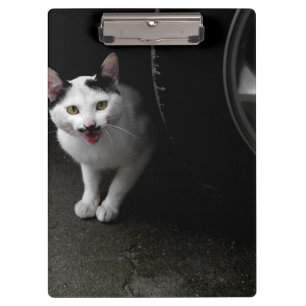 Porte-bloc Stray Chat avec Moustache