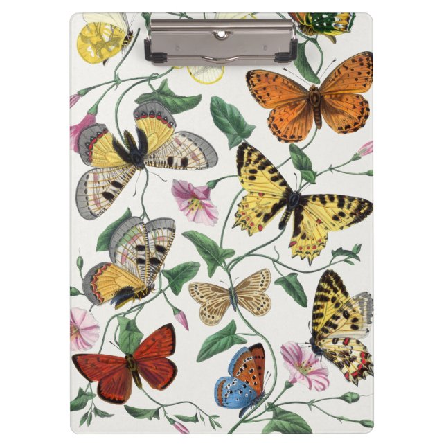 Porte-bloc Study of Diurnal butterflies by Paul Gervais (Devant)