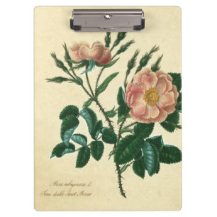 Porte-bloc Sweet Briar Rose