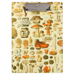Porte-bloc Tabouret de toilette Vintage de champignons Illust