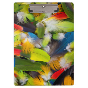 Porte-bloc Tas de plumes colorées