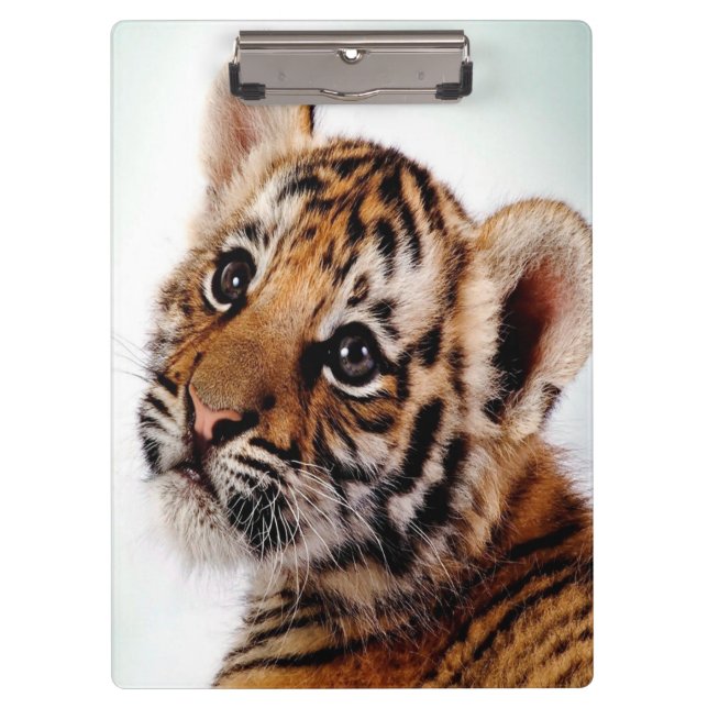 Porte-bloc Tiger Cub/Porte - bloc (Devant)