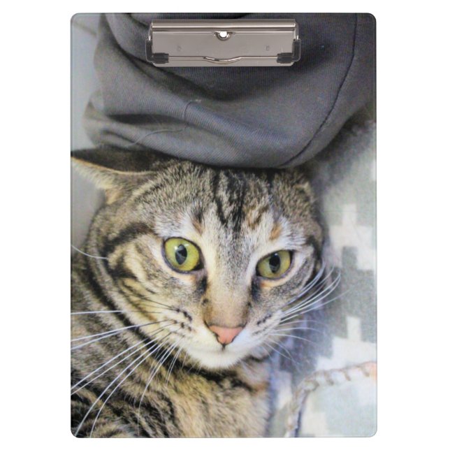 Porte-bloc Tigre (Devant)