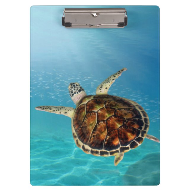 Porte-bloc Tortue nageant sous l'eau (Devant)