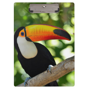 Porte-bloc Toucan