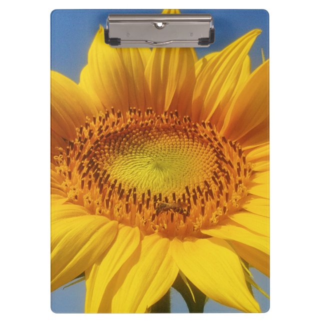Porte-bloc Tournesol jaune (Devant)