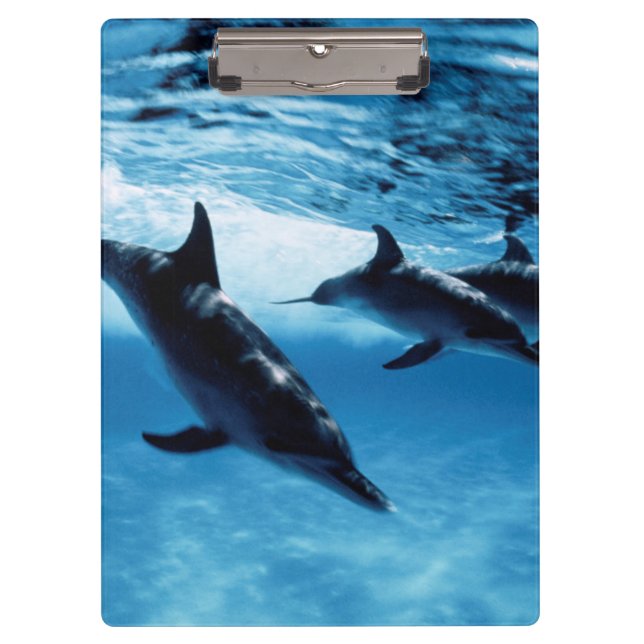 Porte-bloc Trio de dauphins (Devant)