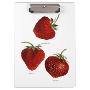 Porte-bloc Trio fraise vintage