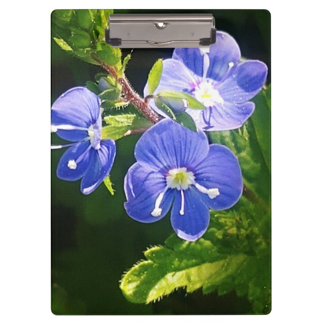 Porte-bloc Trois fleurs bleues (Devant)