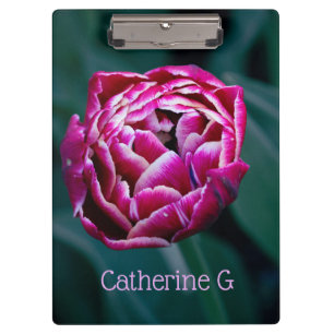 Porte-bloc Tulip rose moisi
