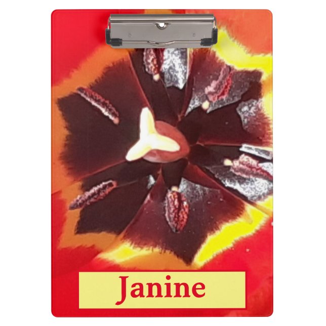 Porte-bloc Tulipe rouge écarlate (Devant)