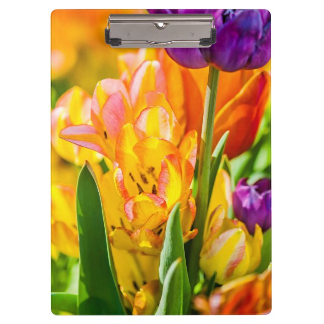 Porte-bloc Tulipes Enchanter 01 (Devant)