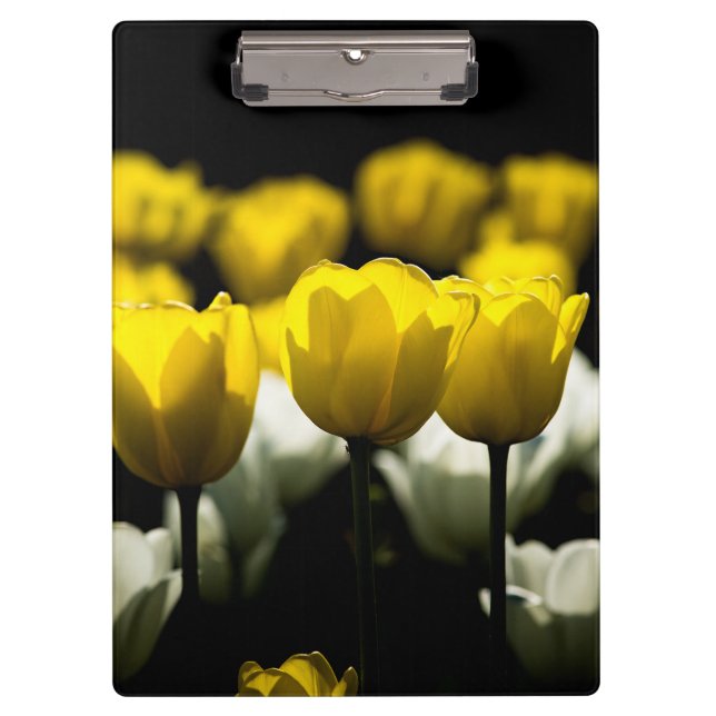 Porte-bloc Tulipes Jaune Et Blanc (Devant)