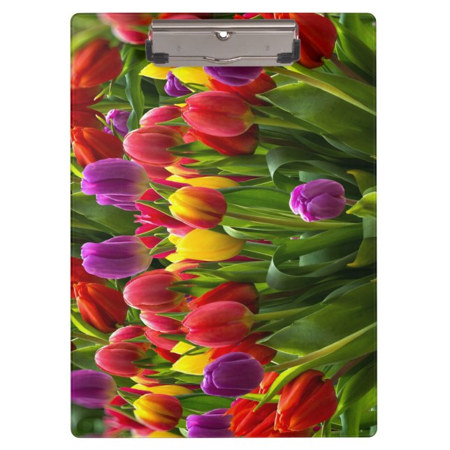 Porte-bloc Tulipes lumineuses (Devant)