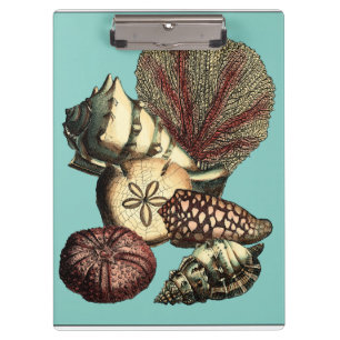 Porte-bloc Turquoise Shell et collection de corail rouge