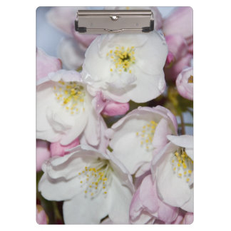 Porte-bloc Un arbre d'Apple fleurit sur un ciel bleu